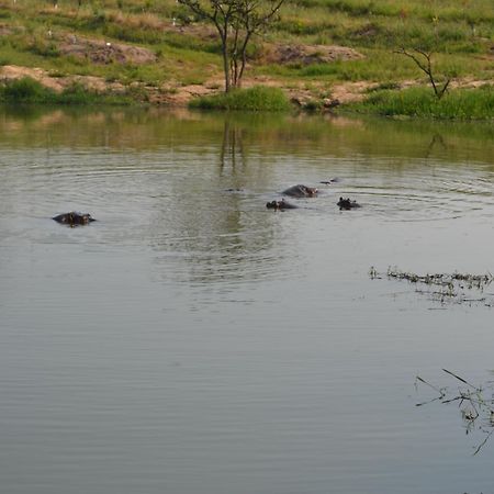 Kruger Park Lodge - Golf Safari Sa Hazyview Luaran gambar