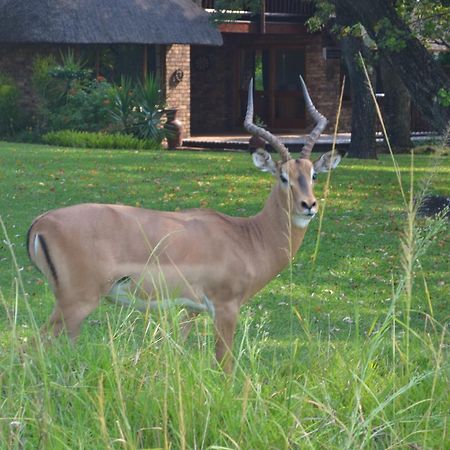 Kruger Park Lodge - Golf Safari Sa Hazyview Luaran gambar