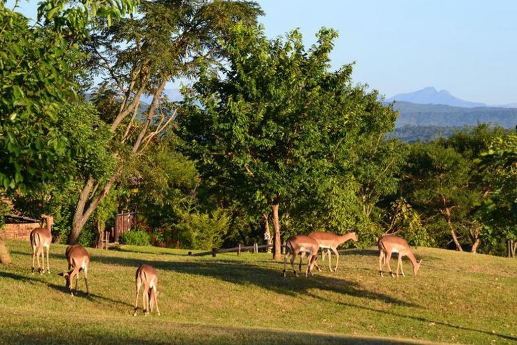 Kruger Park Lodge - Golf Safari Sa Hazyview Luaran gambar
