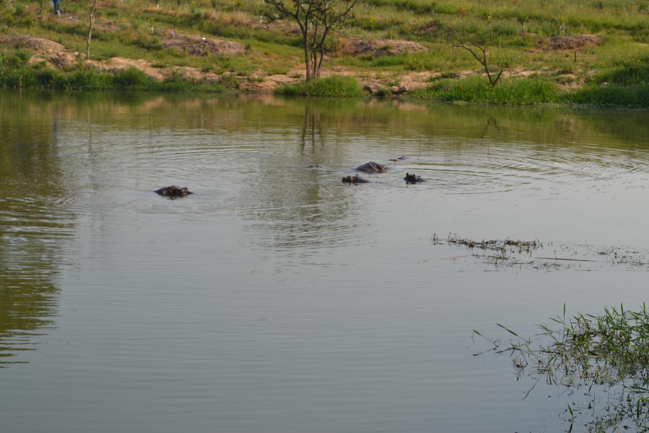 Kruger Park Lodge - Golf Safari Sa Hazyview Luaran gambar