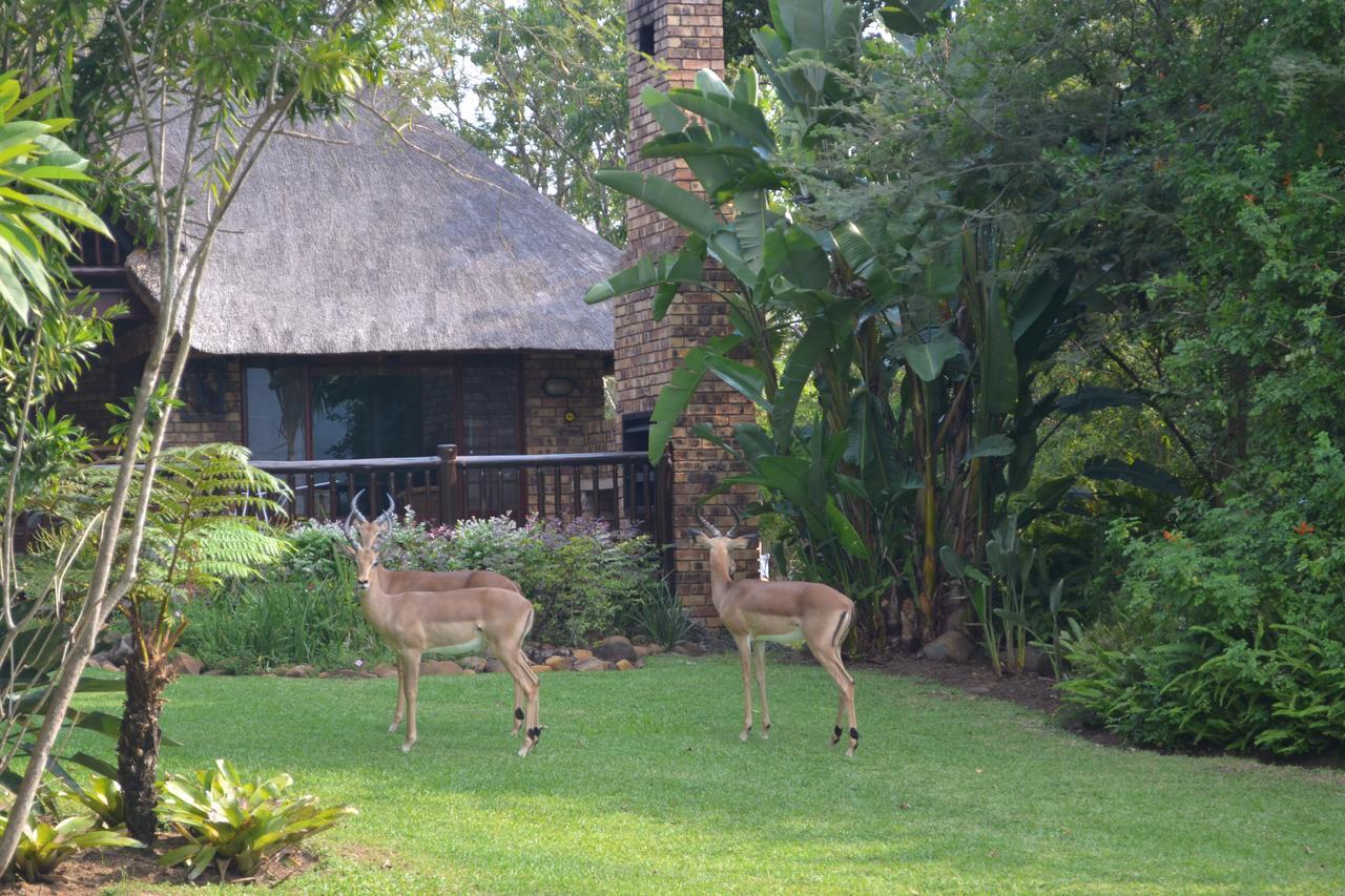 Kruger Park Lodge - Golf Safari Sa Hazyview Luaran gambar