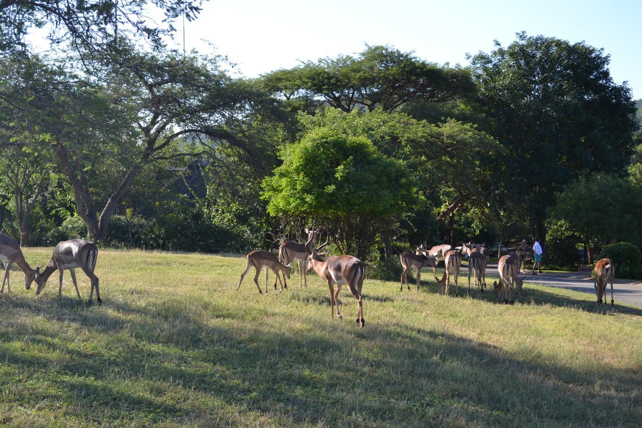 Kruger Park Lodge - Golf Safari Sa Hazyview Luaran gambar