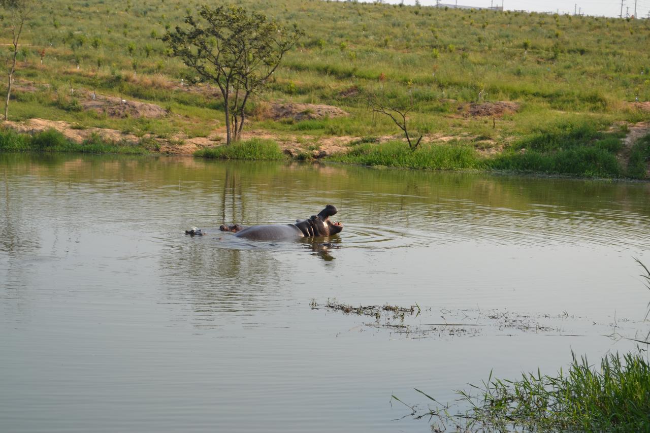 Kruger Park Lodge - Golf Safari Sa Hazyview Luaran gambar
