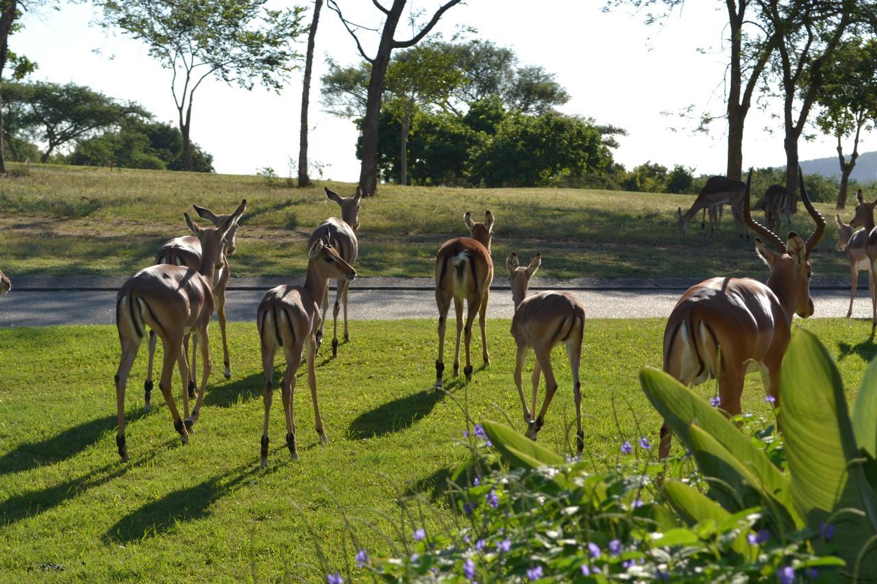 Kruger Park Lodge - Golf Safari Sa Hazyview Luaran gambar