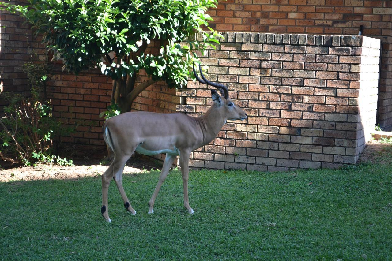 Kruger Park Lodge - Golf Safari Sa Hazyview Luaran gambar